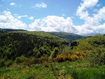 Mont Lozère, source du Tarn, de l'Altier et du Bramon